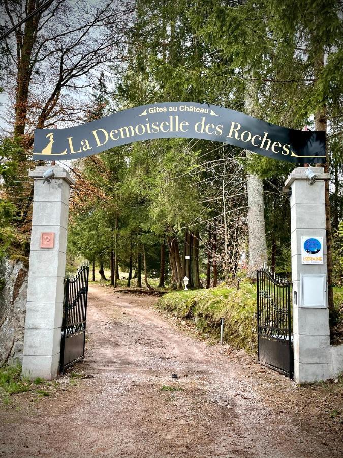 Demoiselle Des Roches Apartment Ramonchamp Exterior foto